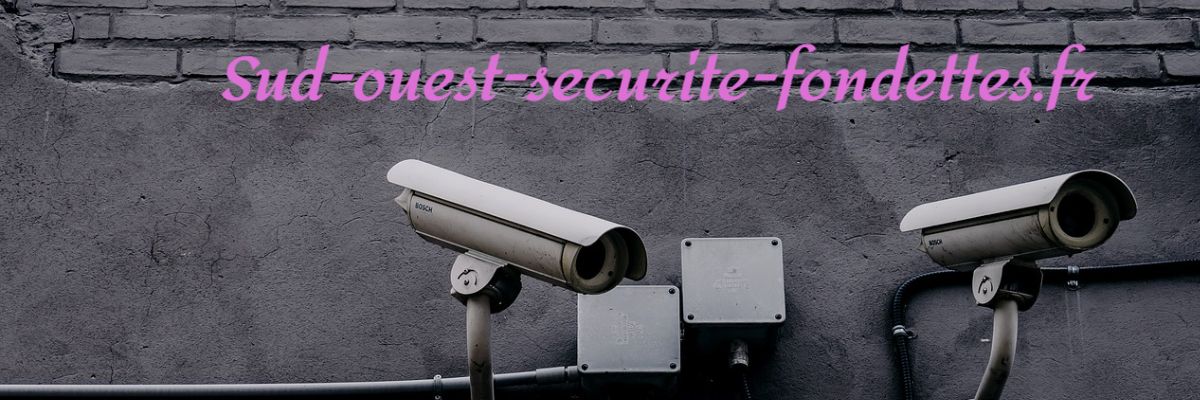 sud-ouest-securite-fondettes.fr